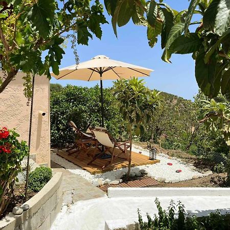 The Garden House, Sitia Apartment ภายนอก รูปภาพ