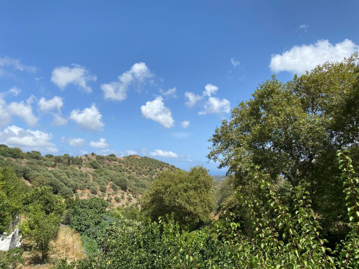 The Garden House, Sitia Apartment ภายนอก รูปภาพ